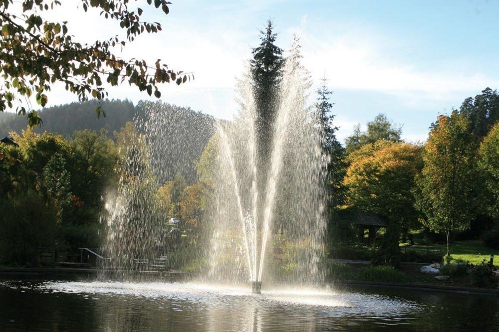 Hotel Schwarzwaldhof เอนซ์เคลิสแทร์เลอ ภายนอก รูปภาพ